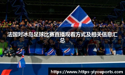 法国对冰岛足球比赛直播观看方式及相关信息汇总